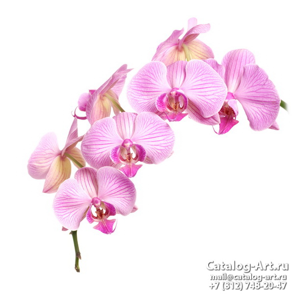 картинки для фотопечати на потолках, идеи, фото, образцы - Потолки с фотопечатью - Розовые орхидеи 17